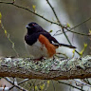 Meet your Posher, Matthew